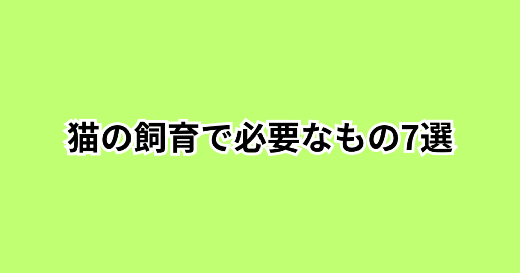 猫の飼育で必要なもの7選